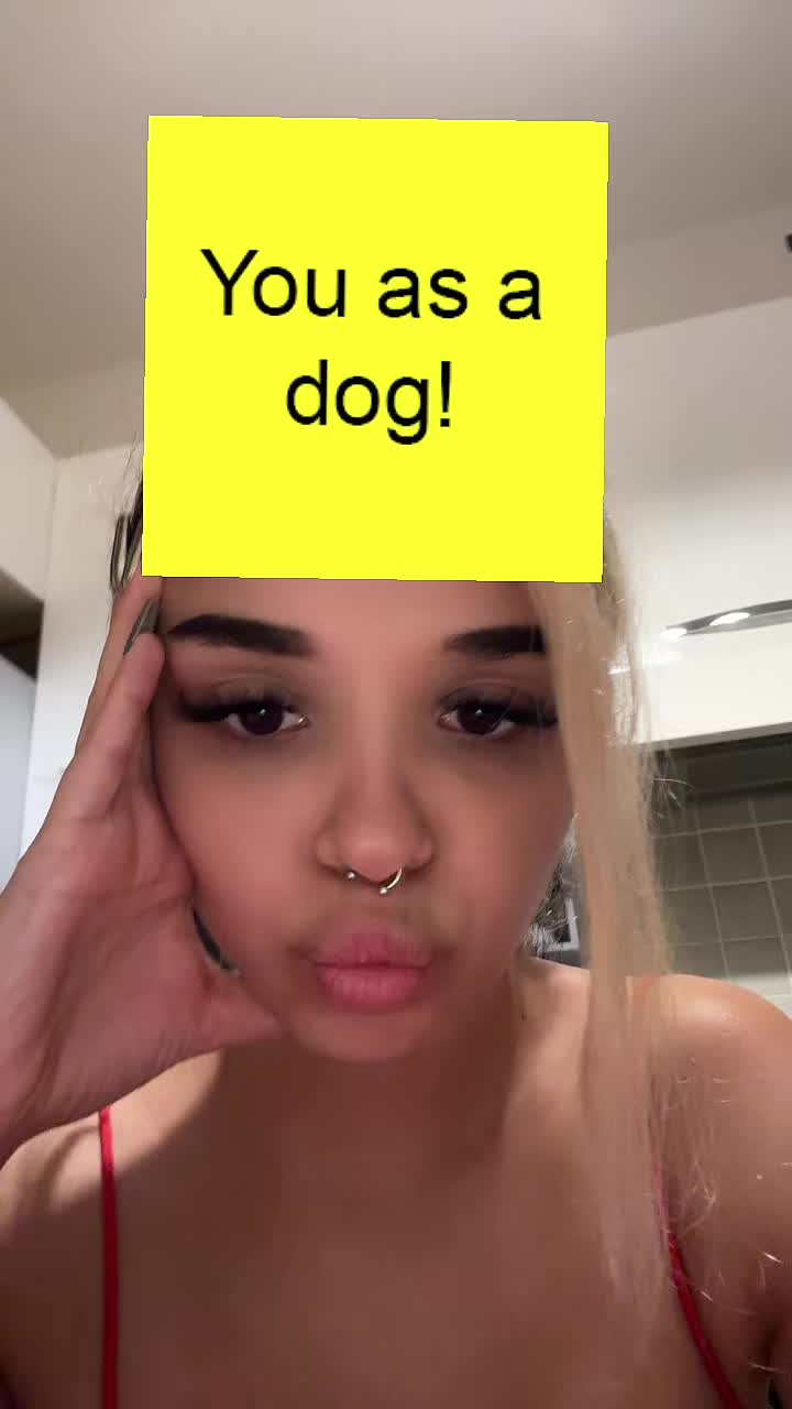 @Lorena Seica