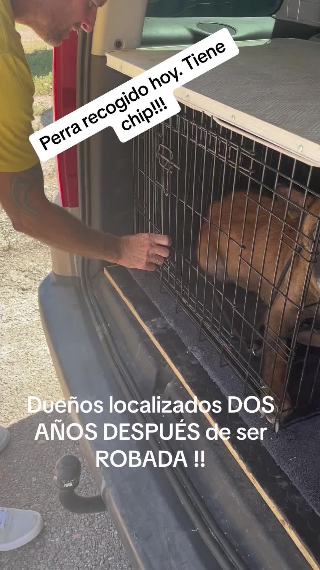 @aguiproan_protectora