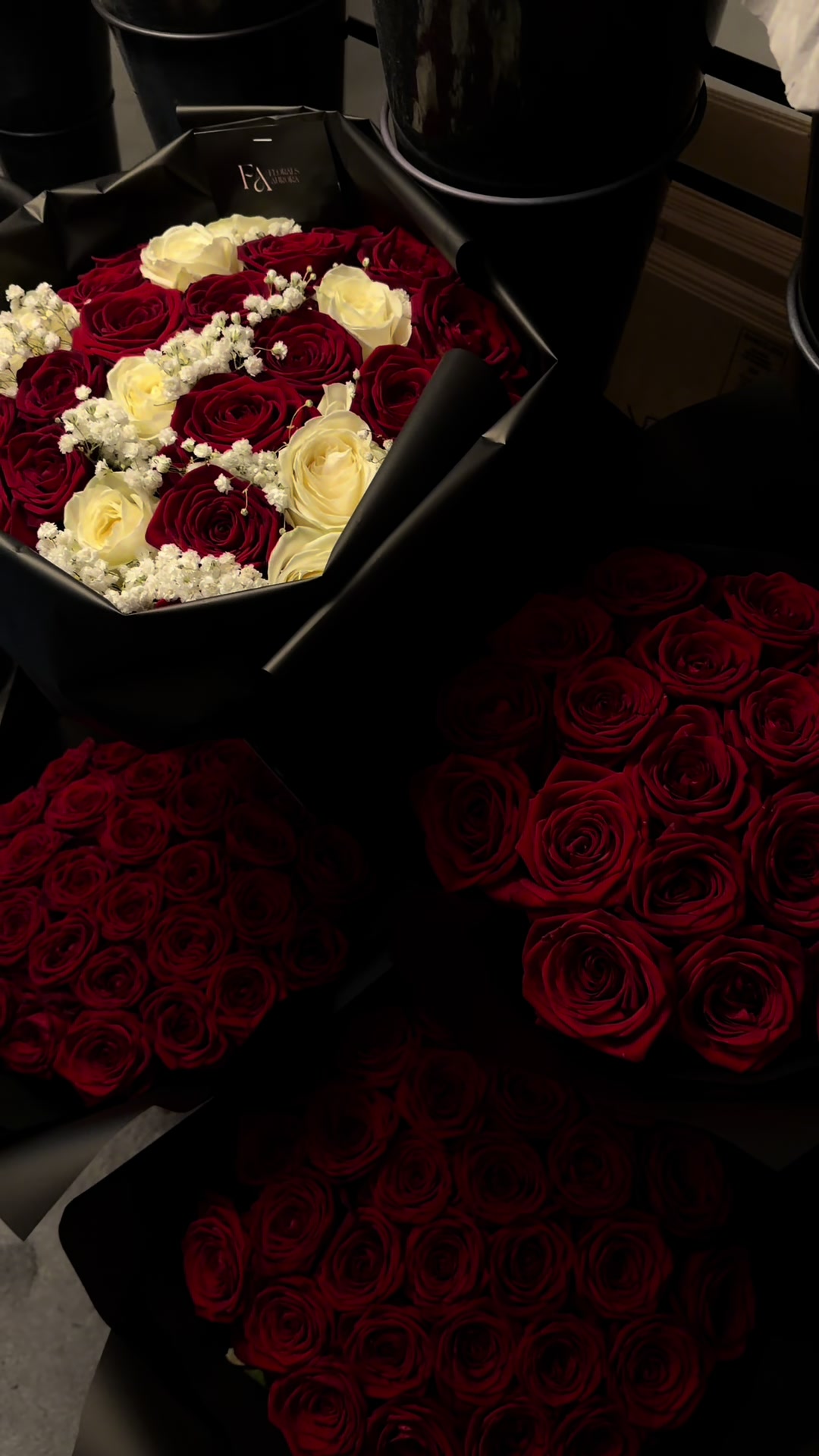 @floralsaurora