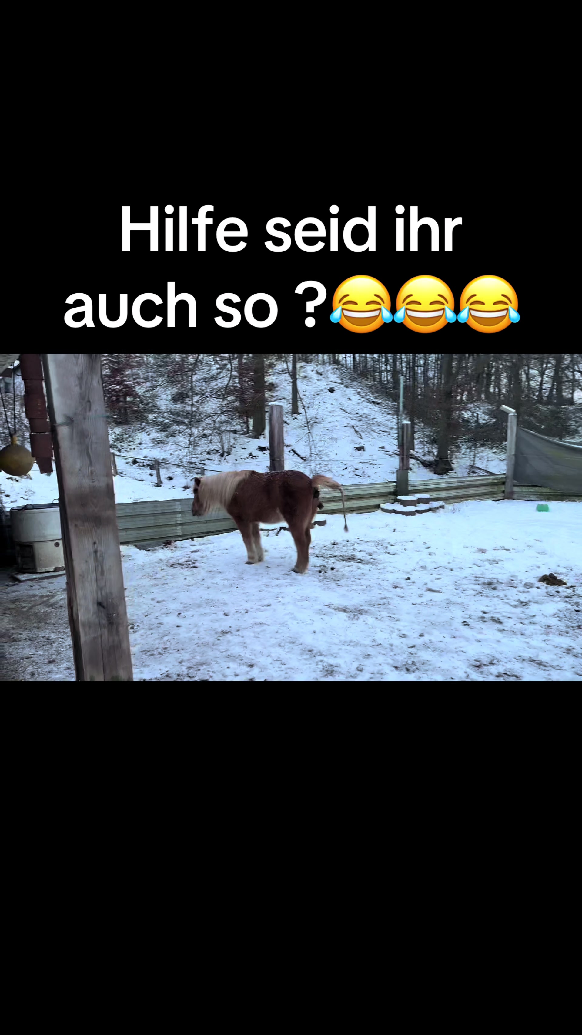 @carinaslifevlog