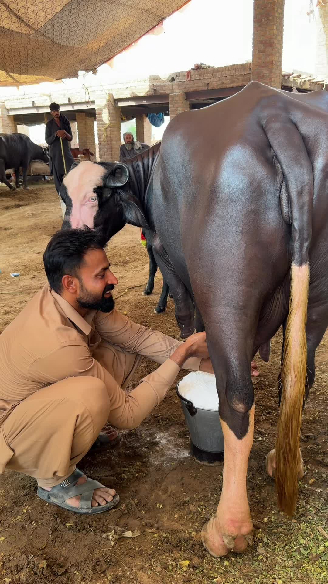 @waqarbhinder852