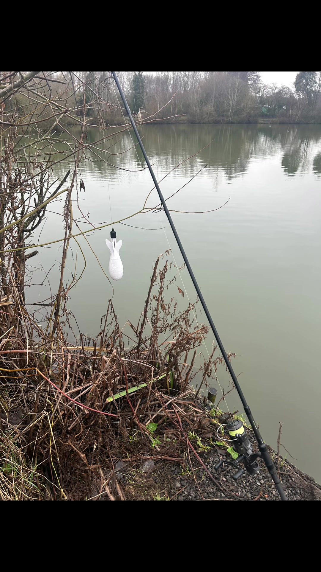 @Frosty carper 😎🎣🎣