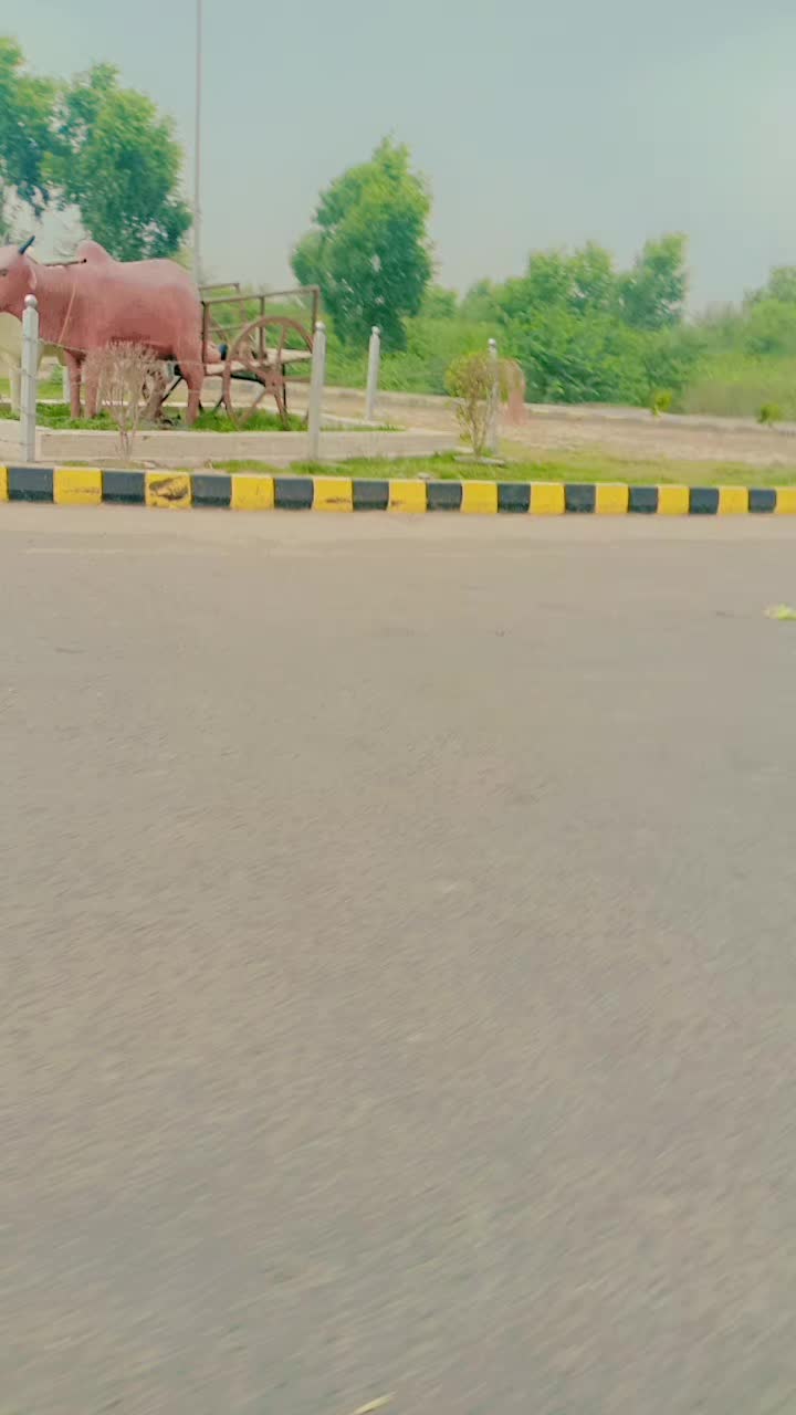 @Shabana Parveen