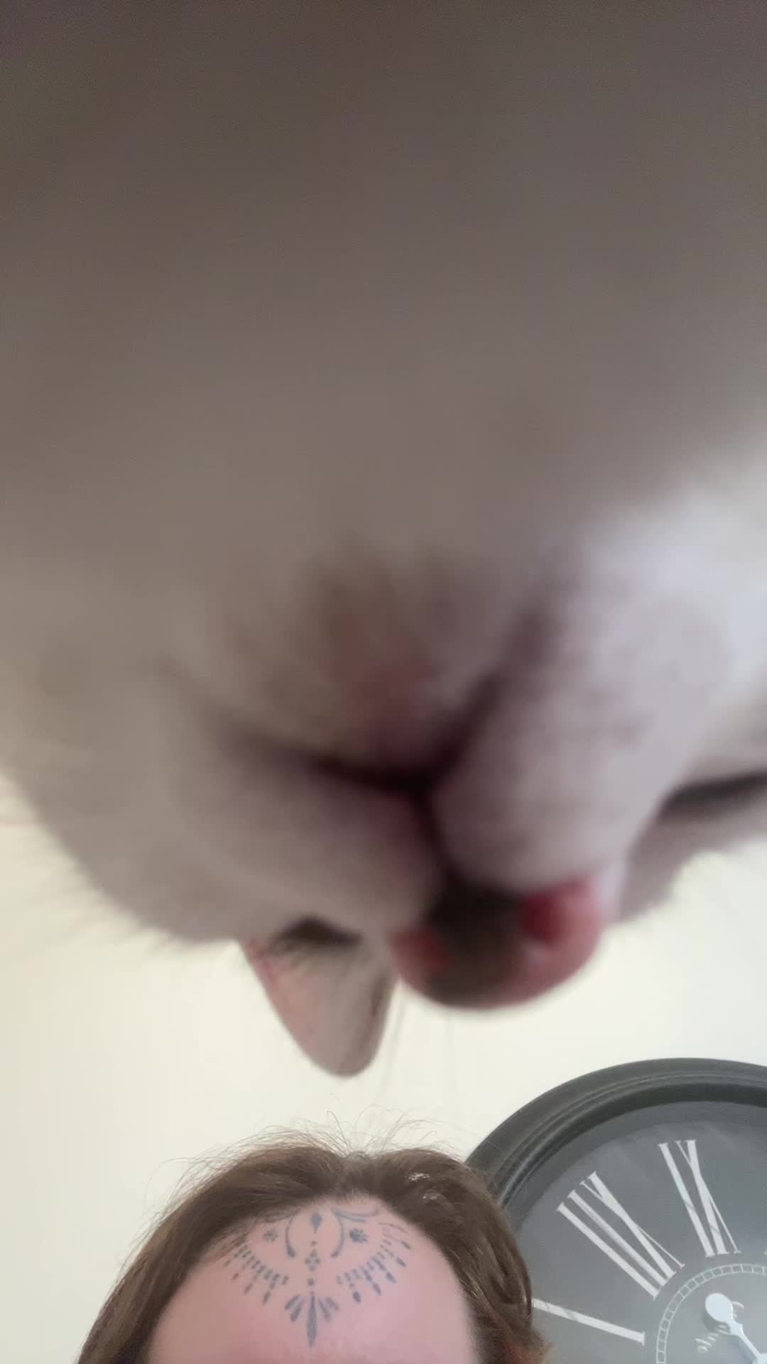 @catratgirl