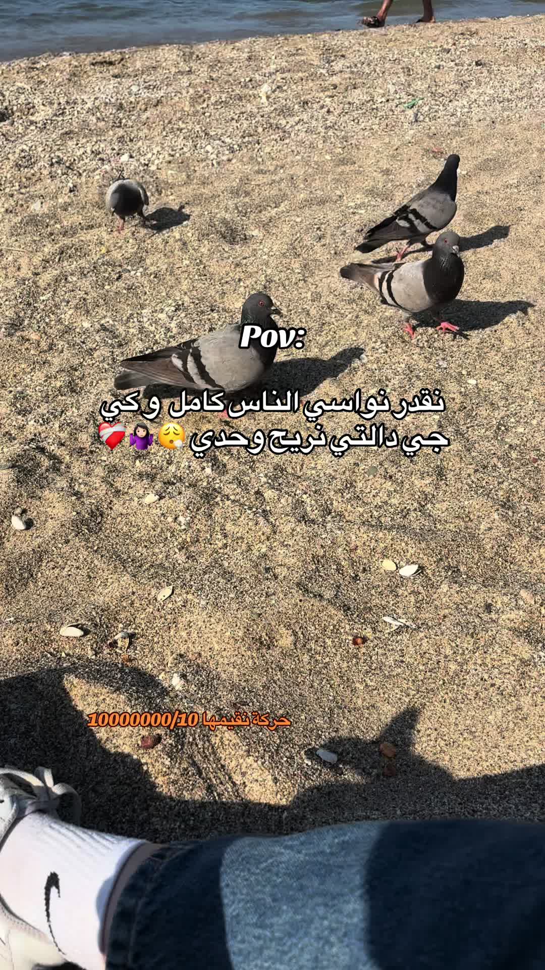@HADYL