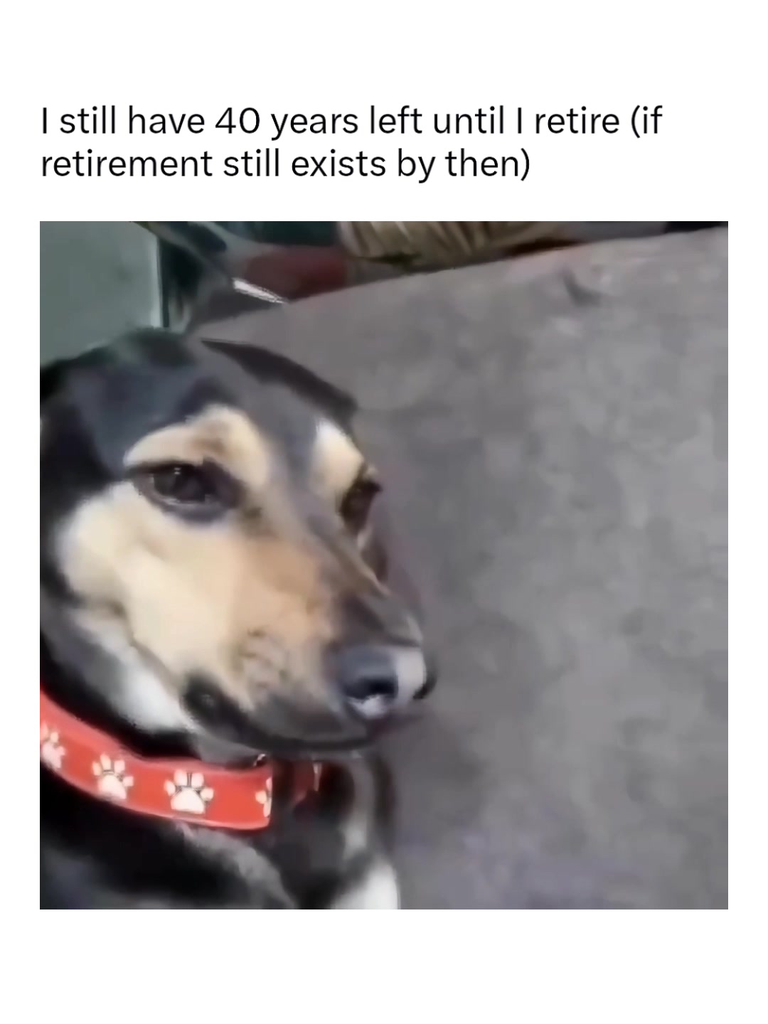 @Memezar