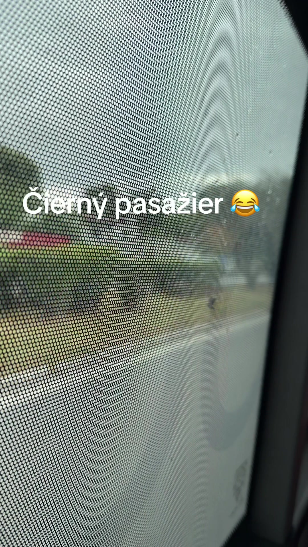 @marcelito_