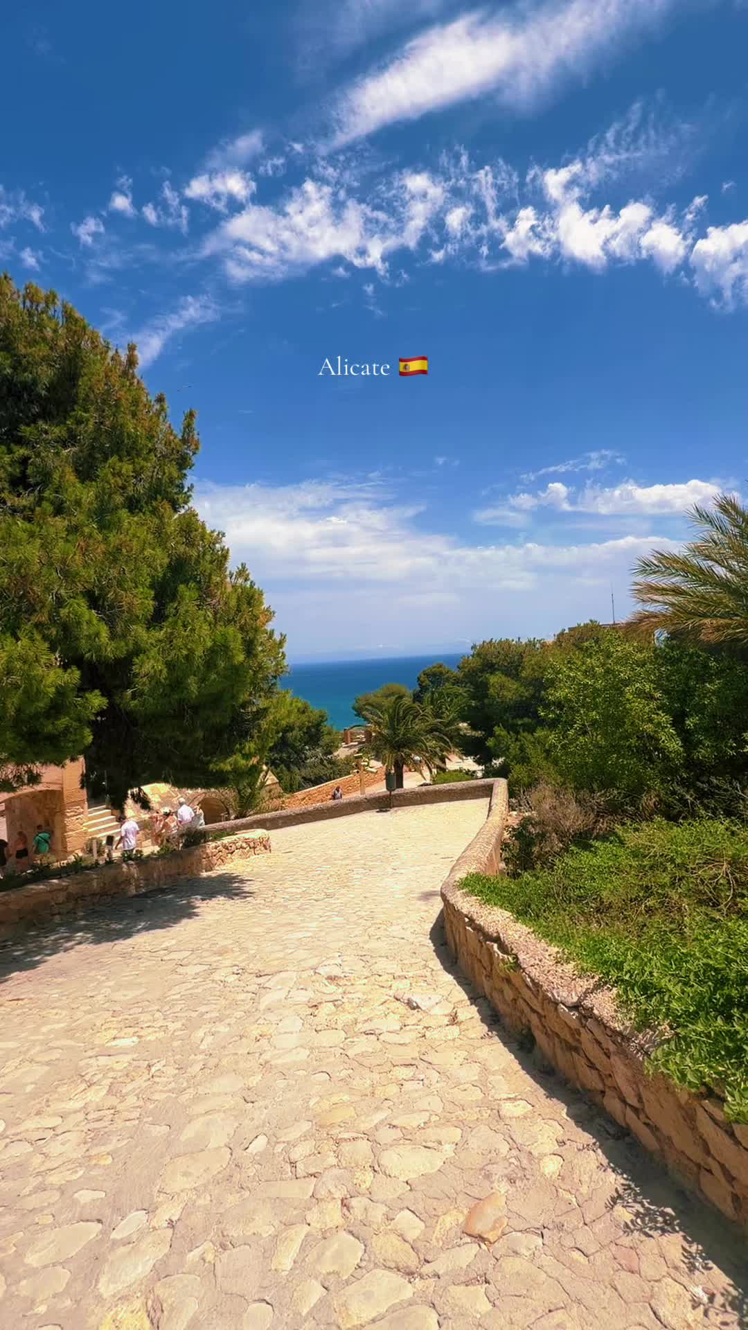 @🚗 Rent a Car | ✈️ Travel🇪🇸