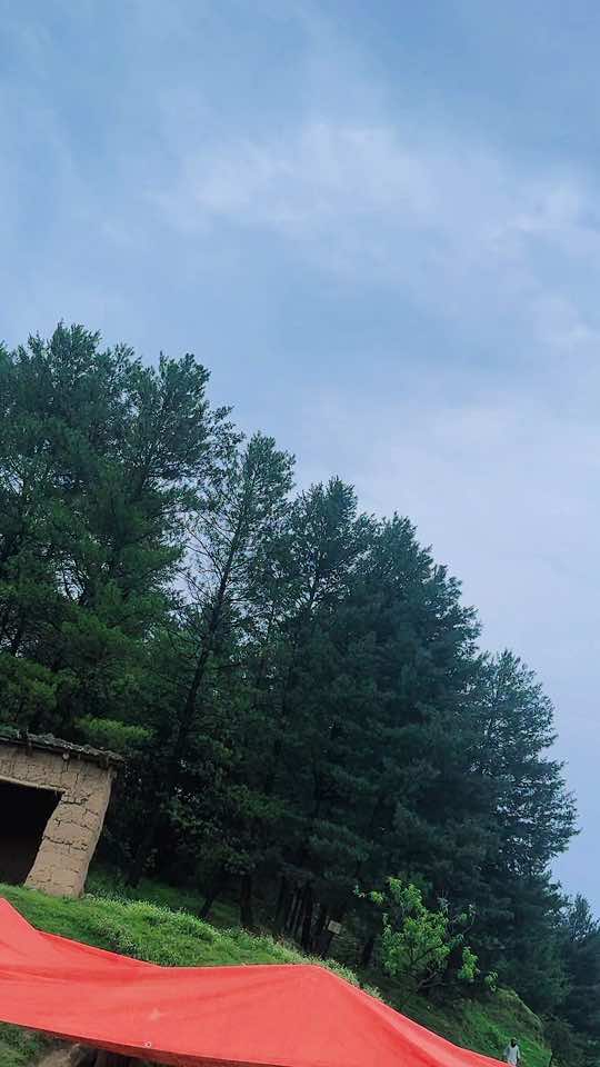 @LK_6🦅