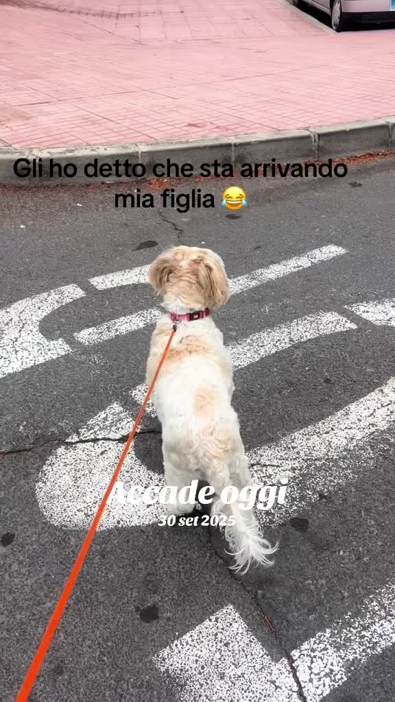 @Micina&mdash; annamaria