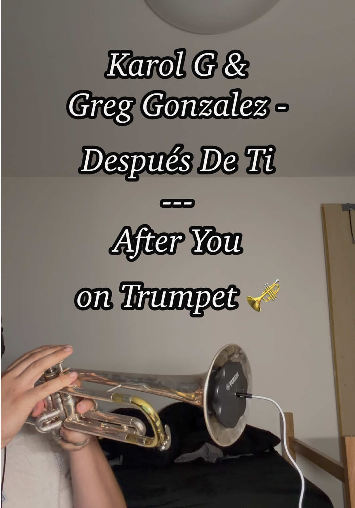 @mexicantrumpetboy