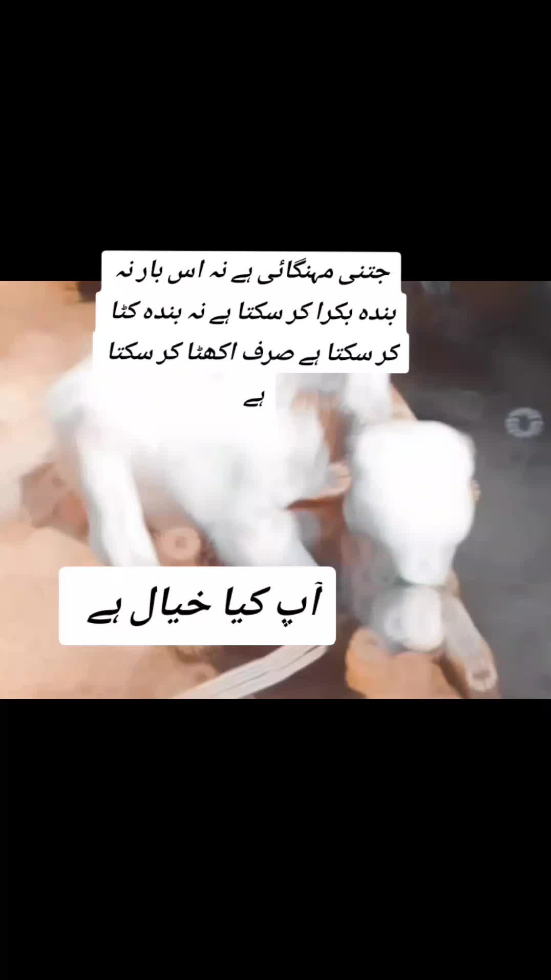 @Isha Ashu