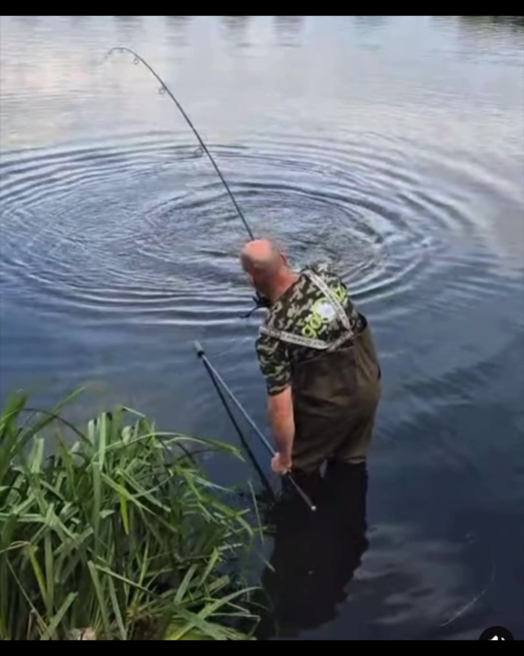 @Goodz Carp Baitz