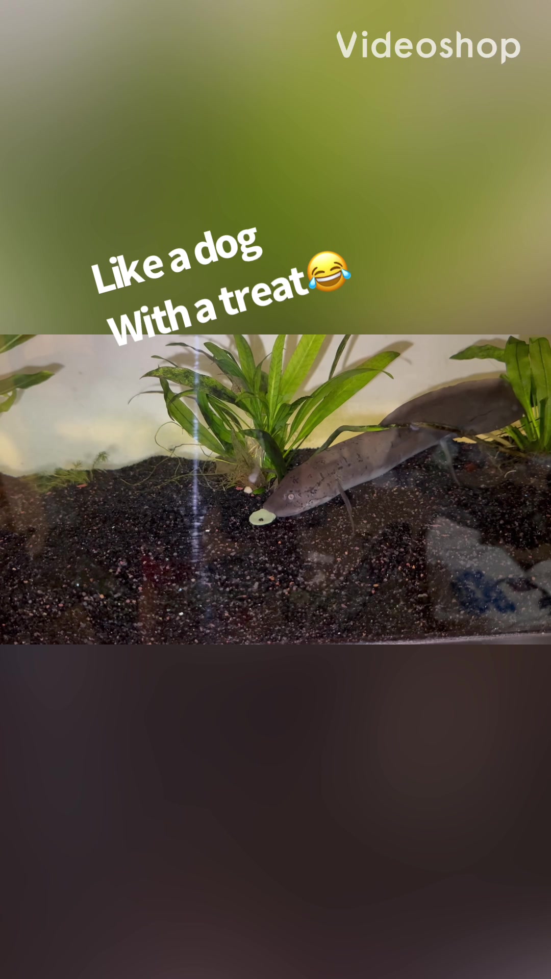 @fishdaddy2002