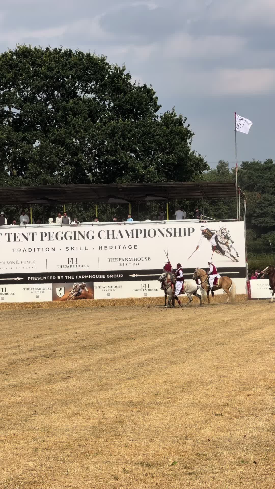@Slough horses