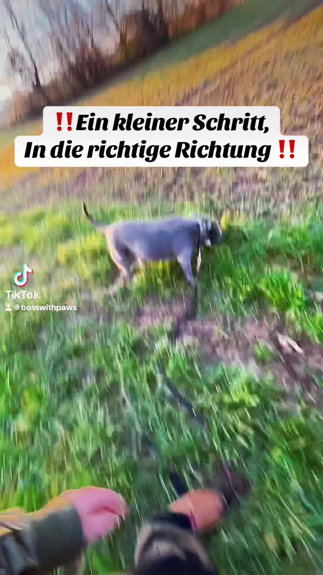@MeinHundIstKeinVerbrecher