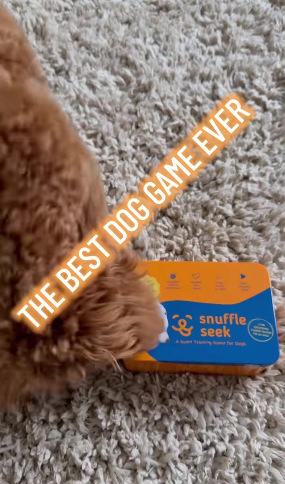 @MilneandMutt
