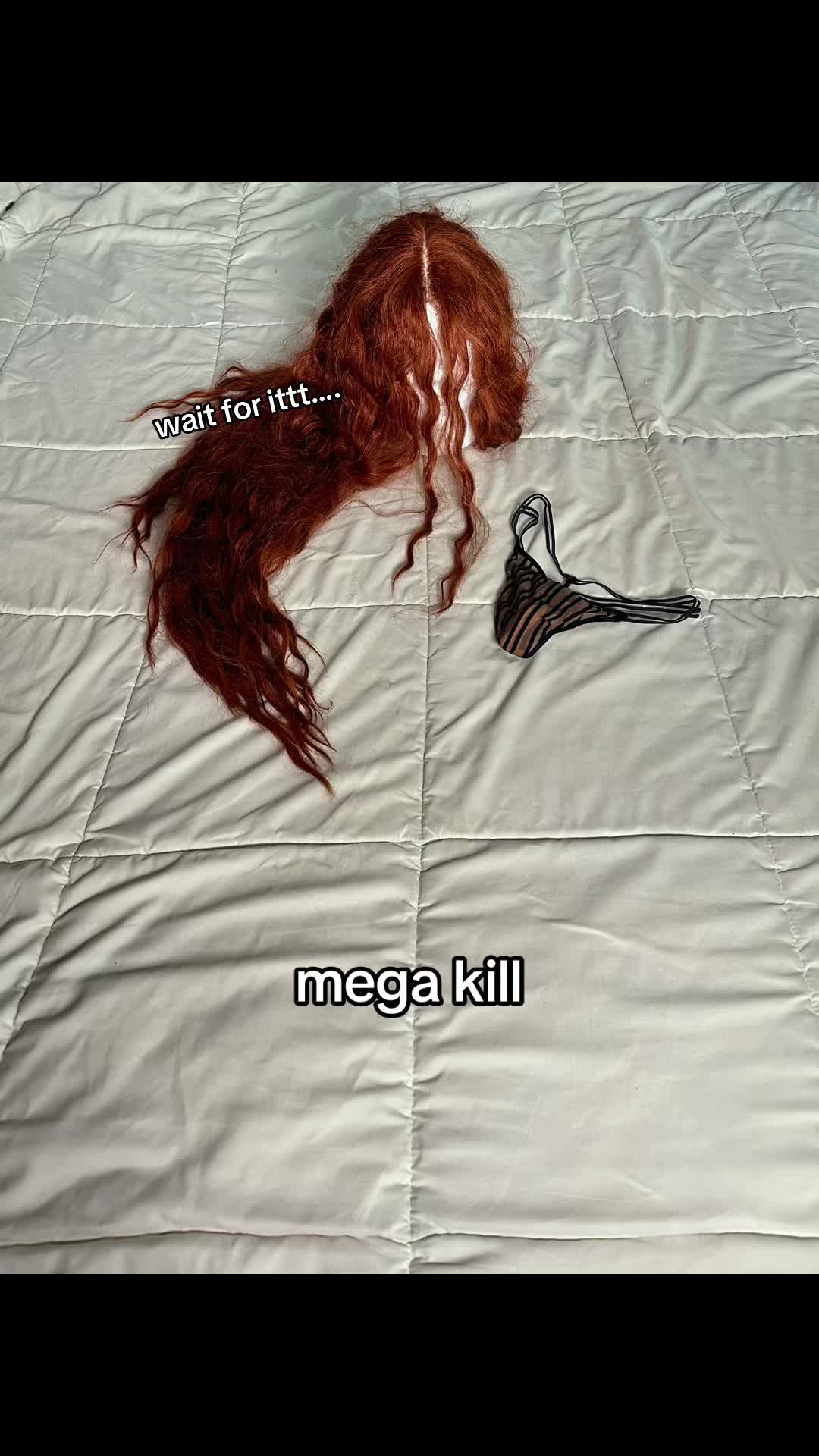 @bunnicula