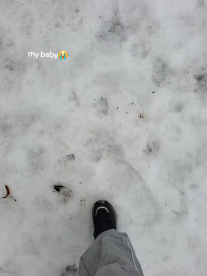 @Zosix🪼🎱