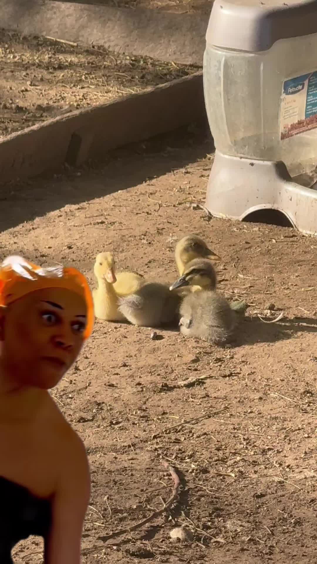 @staseasranch