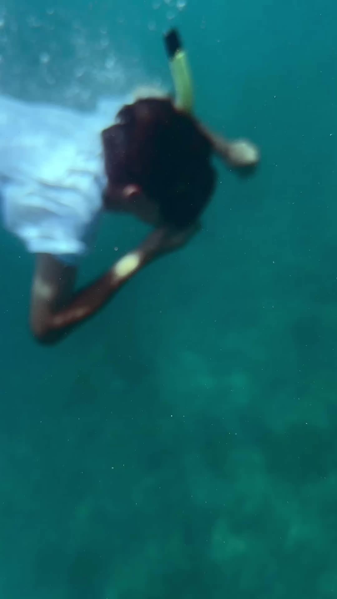 @Innoceana