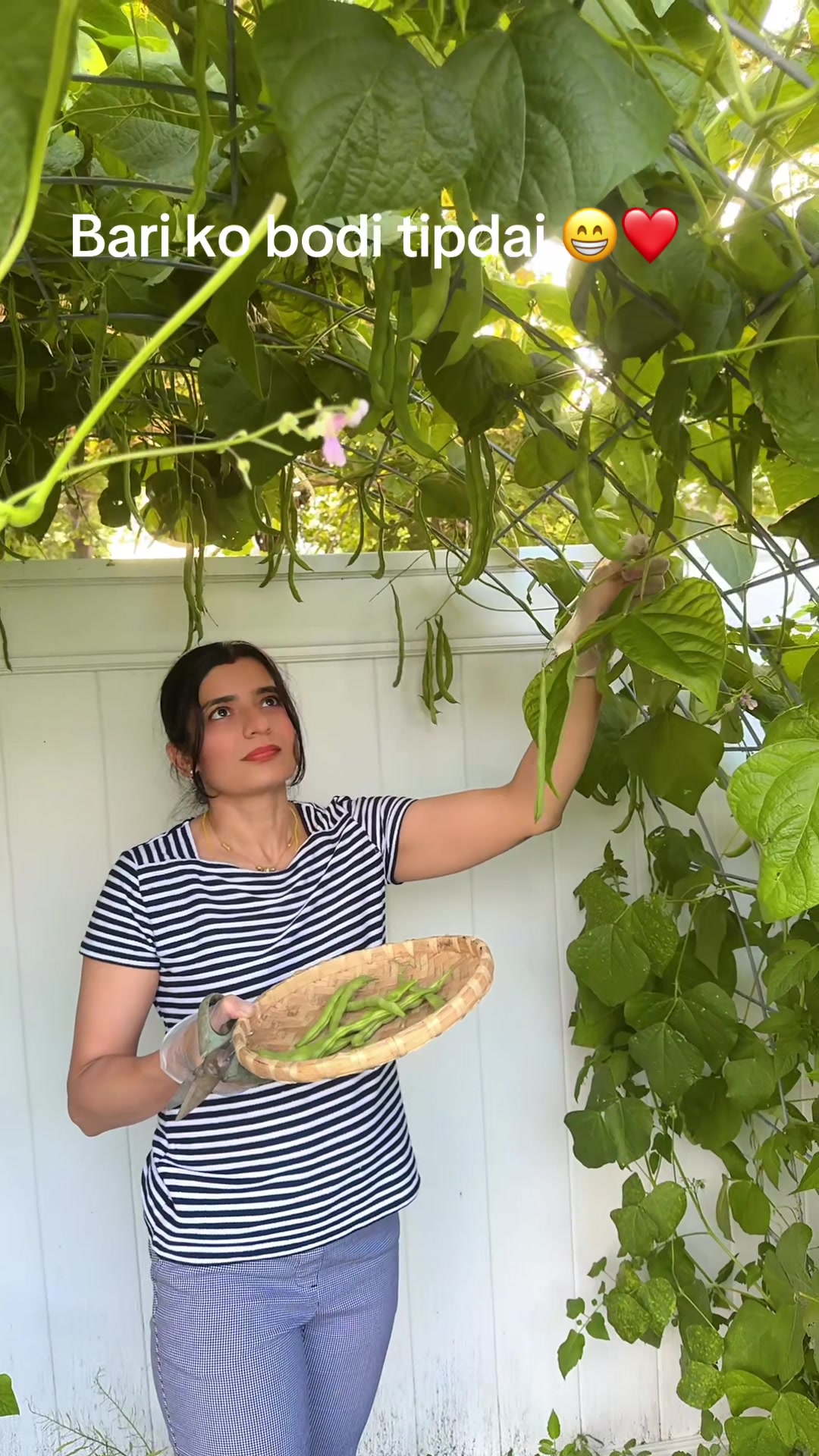 @namitagautamdhaka