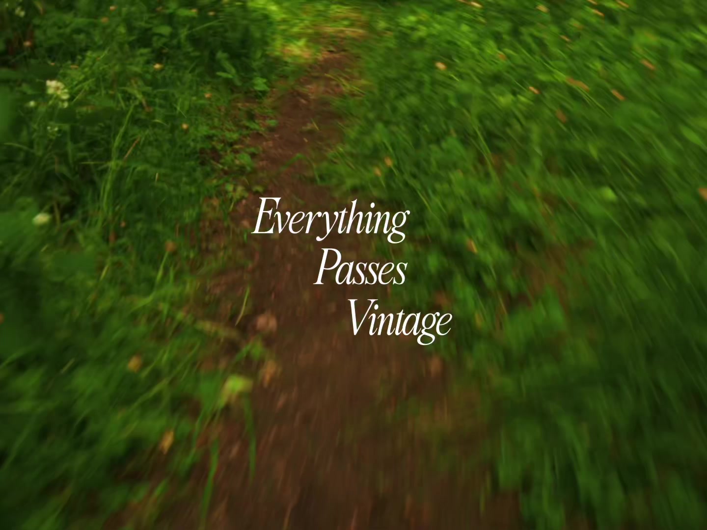 @Everything Passes Vintage