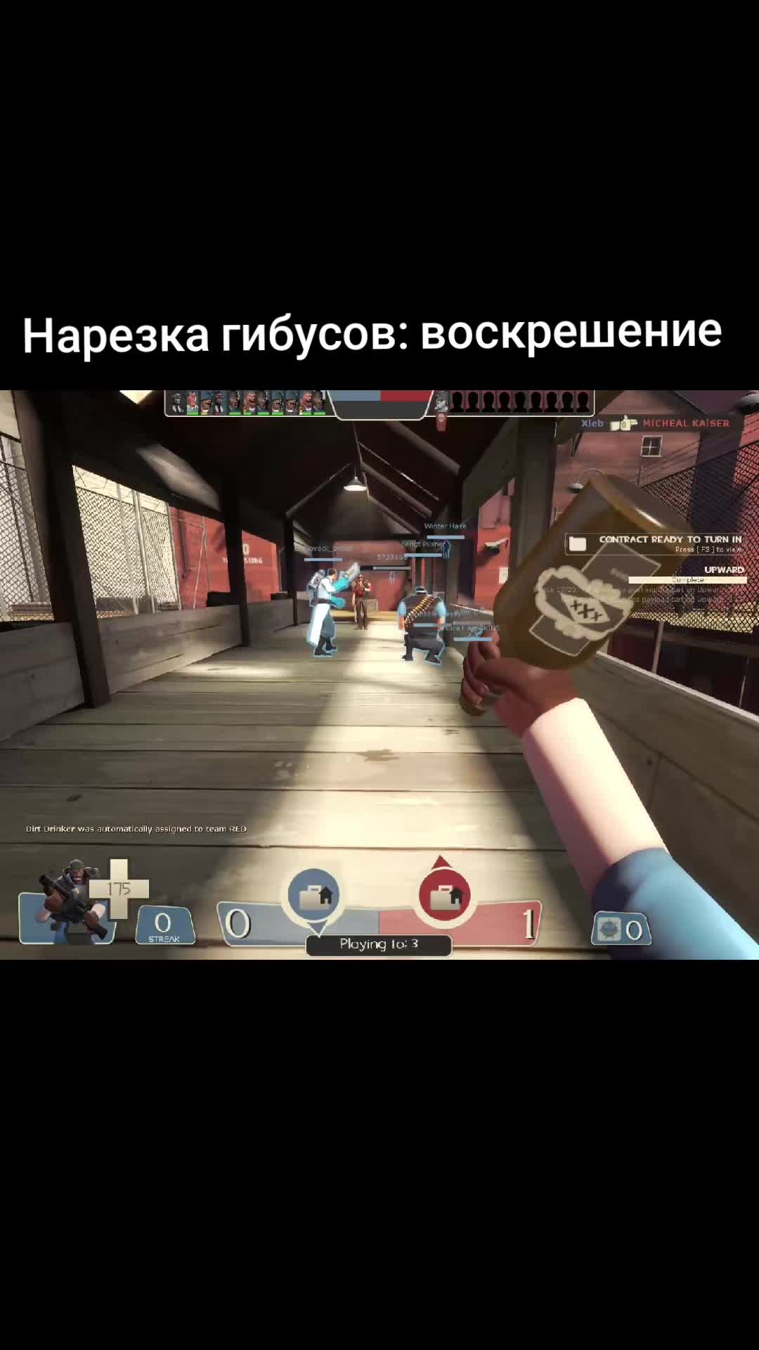 @лапушня