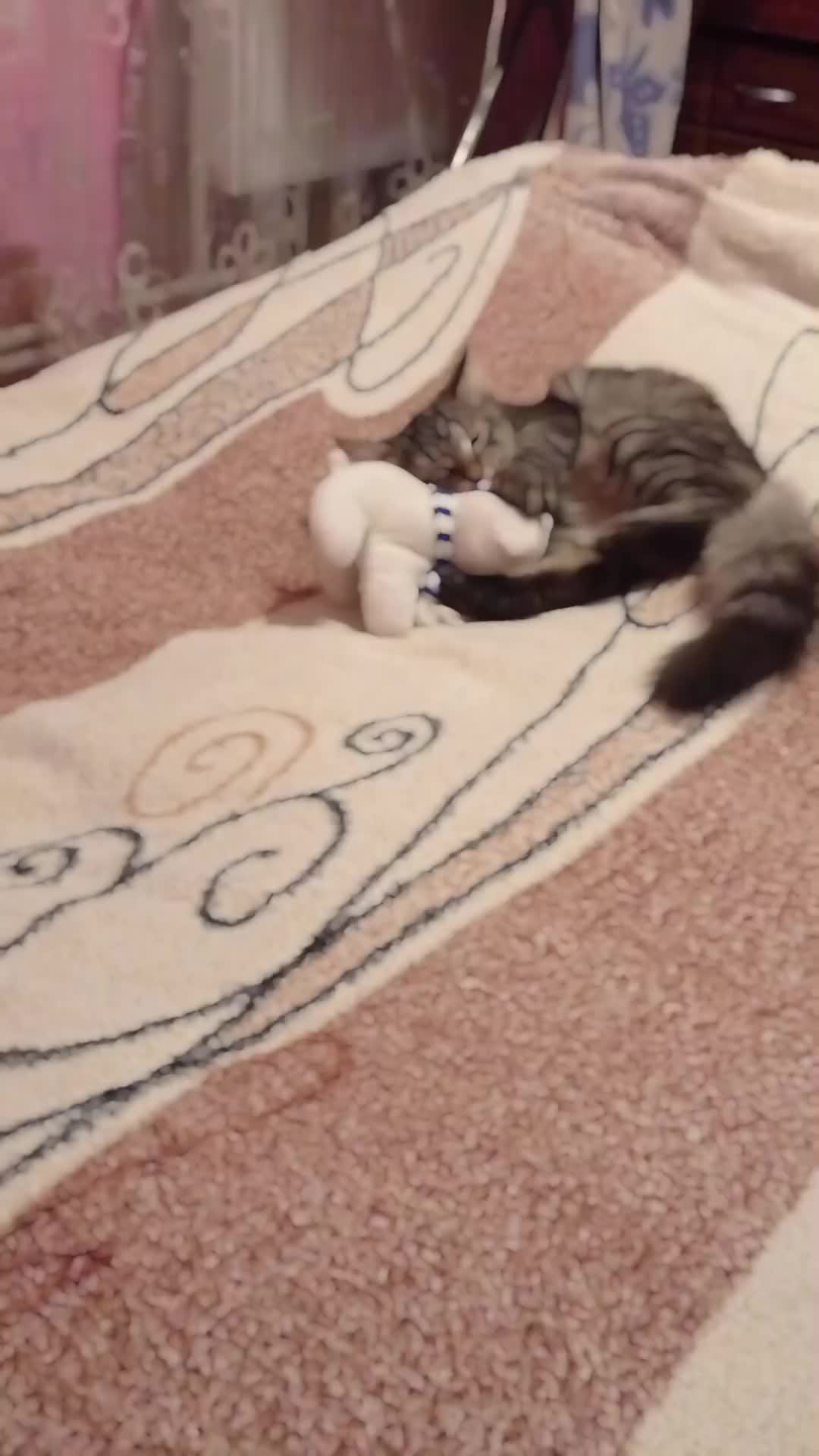 @Юлія Адаменко