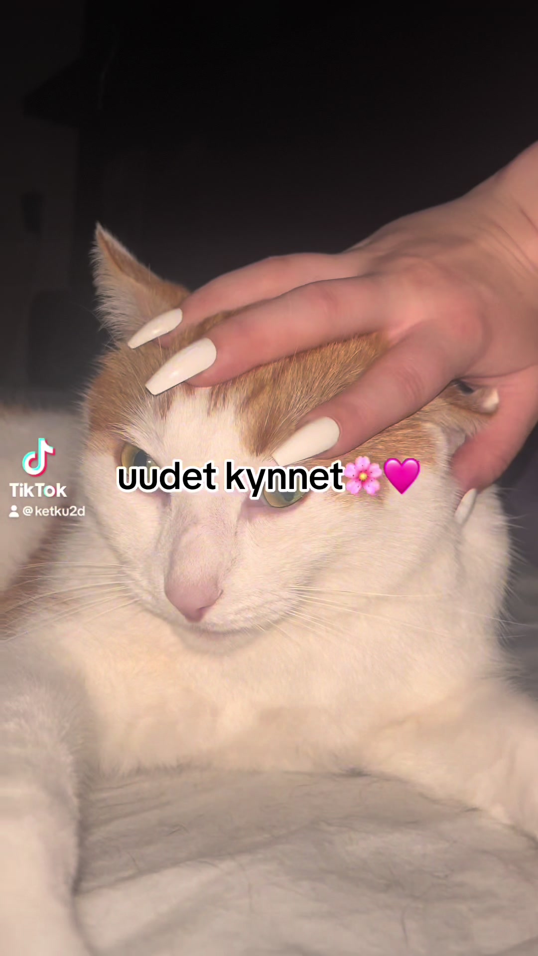 @keke