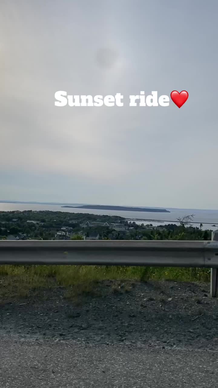 @Vine_grape_A