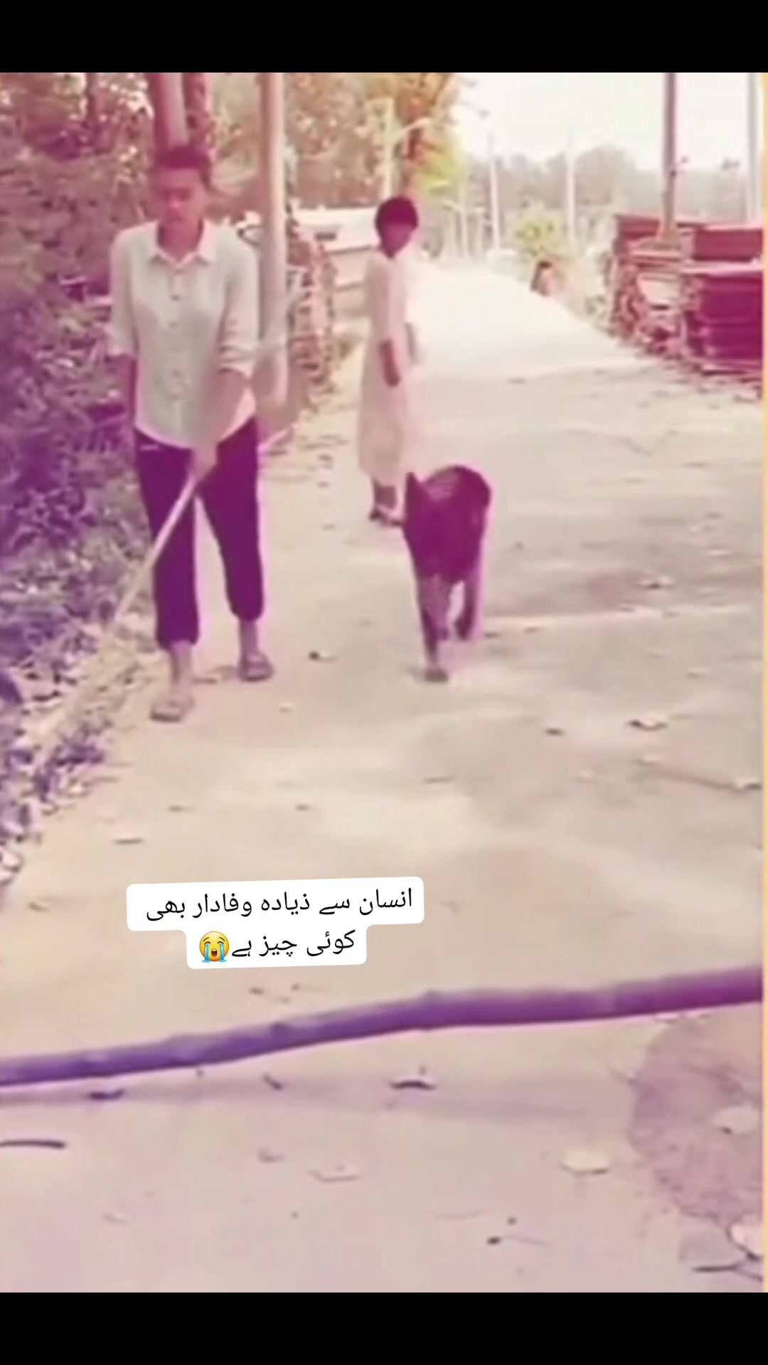 @Toto.Pk