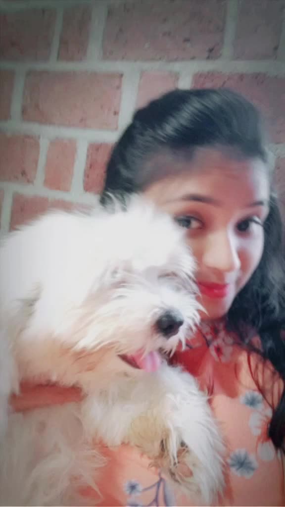 @praseethakarthik