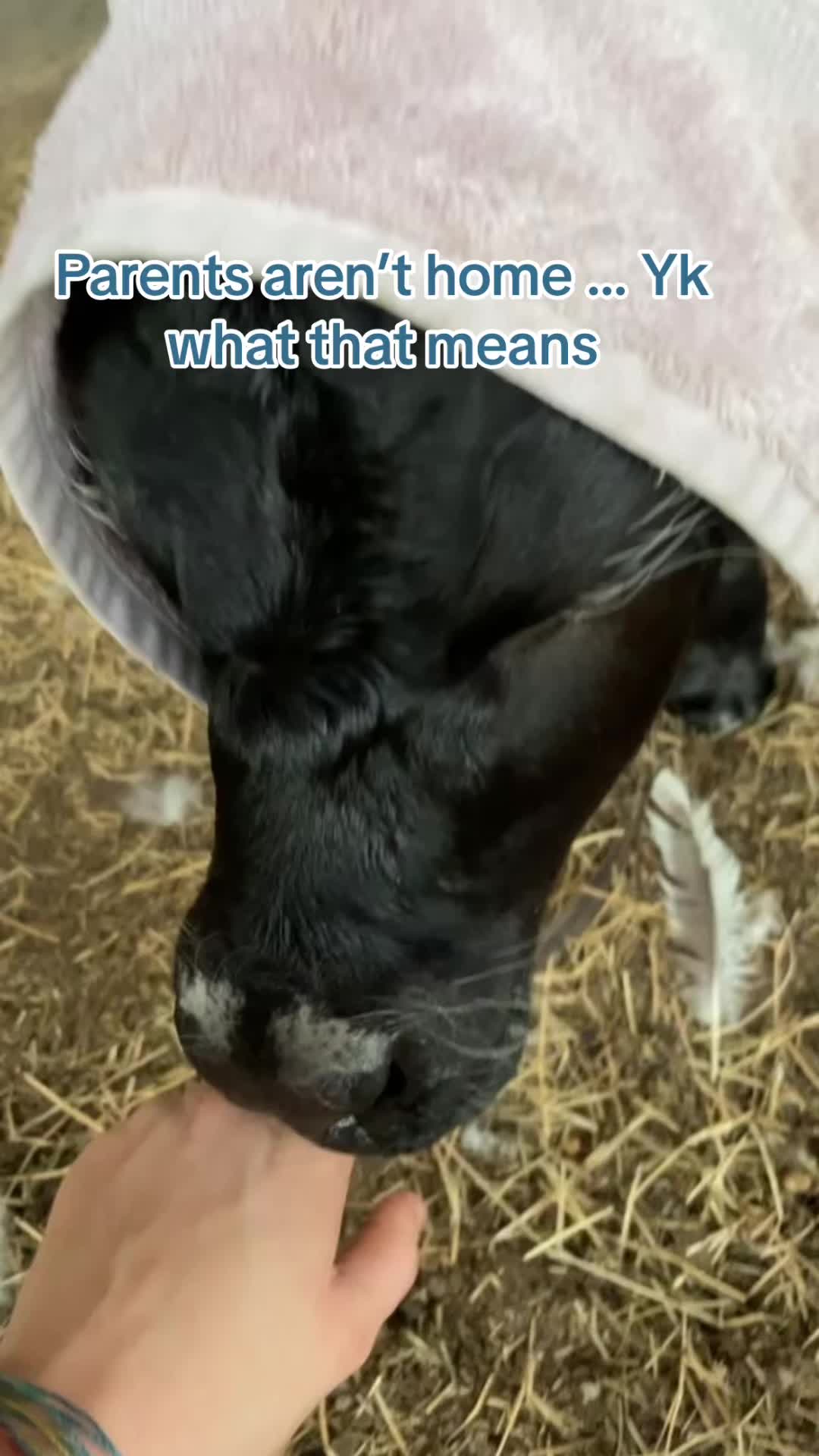 @𝐌𝐚𝐝𝐢𝐬𝐨𝐧 𝐑𝐨𝐛𝐞𝐫𝐭𝐬