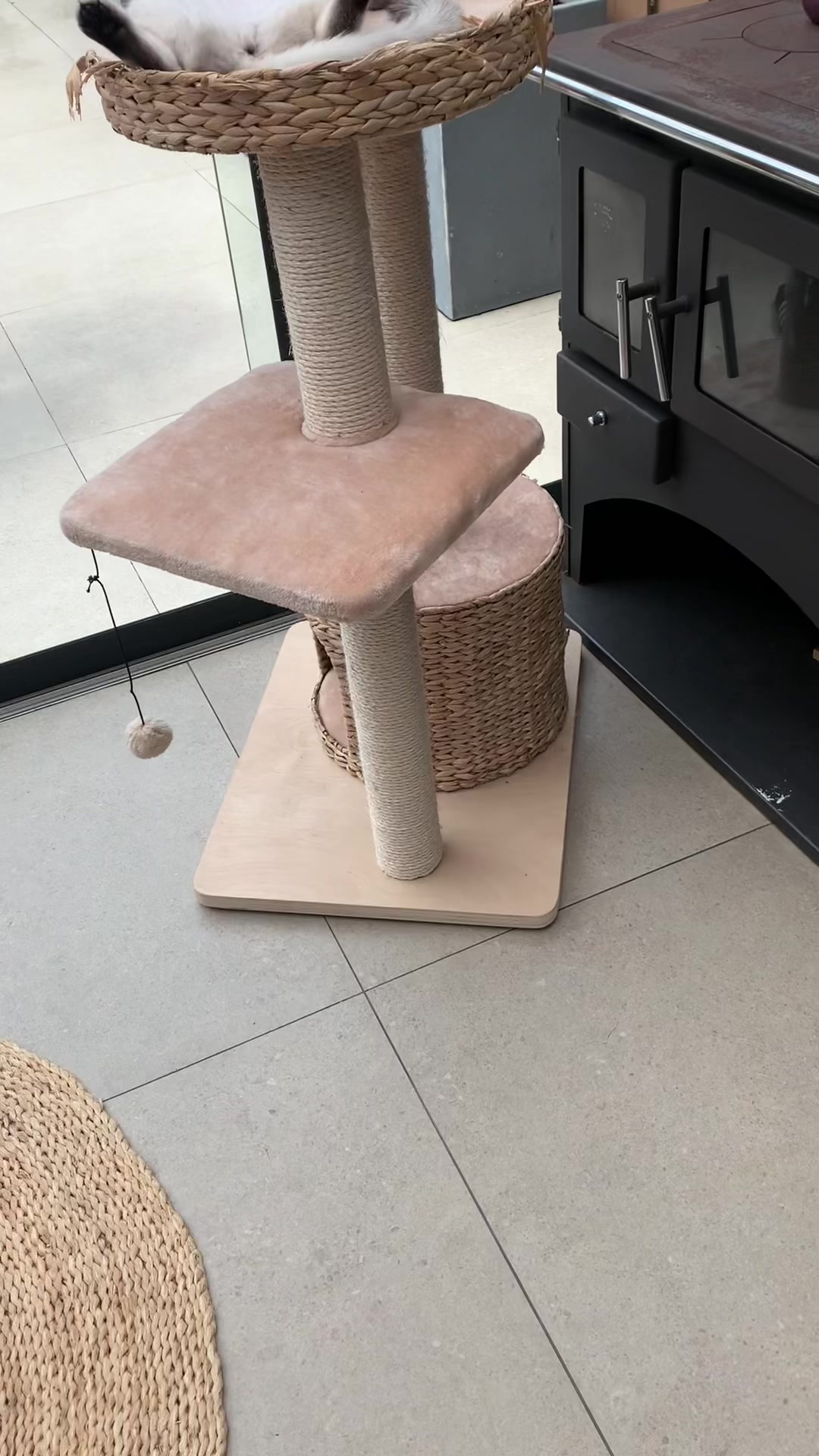 @Mia 🤍