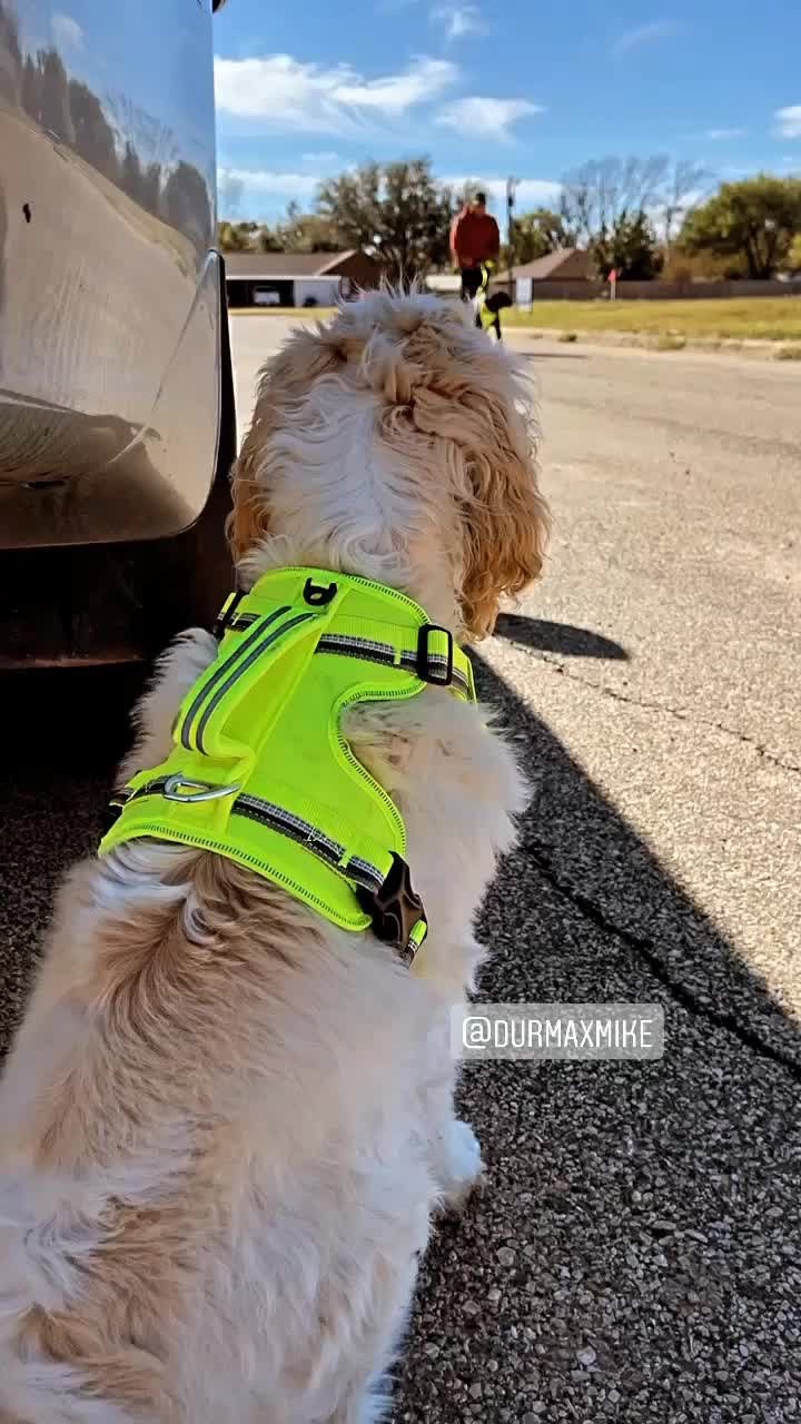 @cycloneteddy