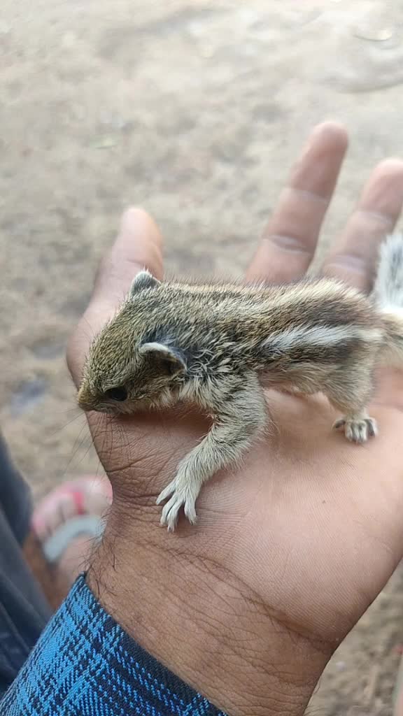 @Alexchauhandeepak