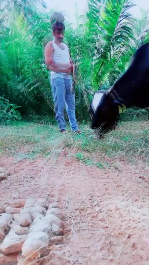 @Fasil Kuruniyan