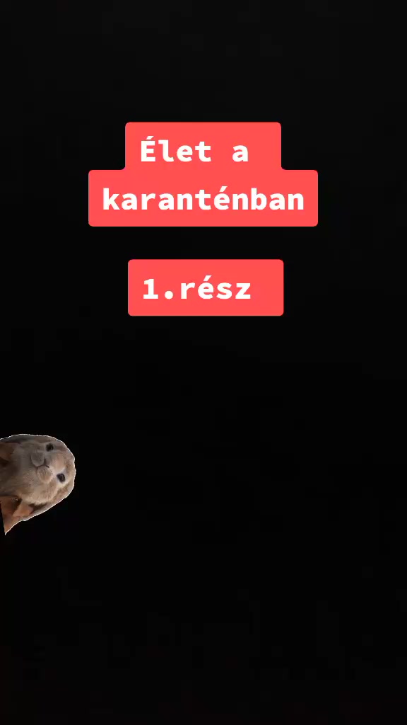 @Szutyok