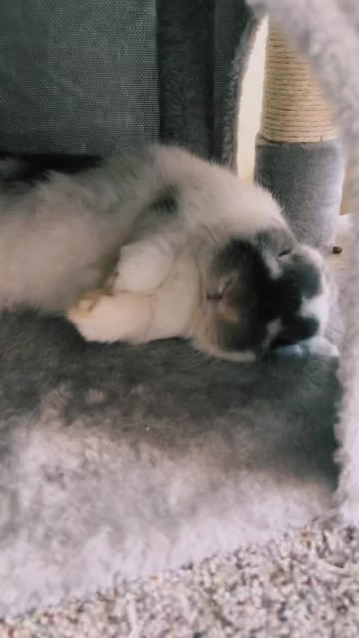 @BunBun and BaeBae