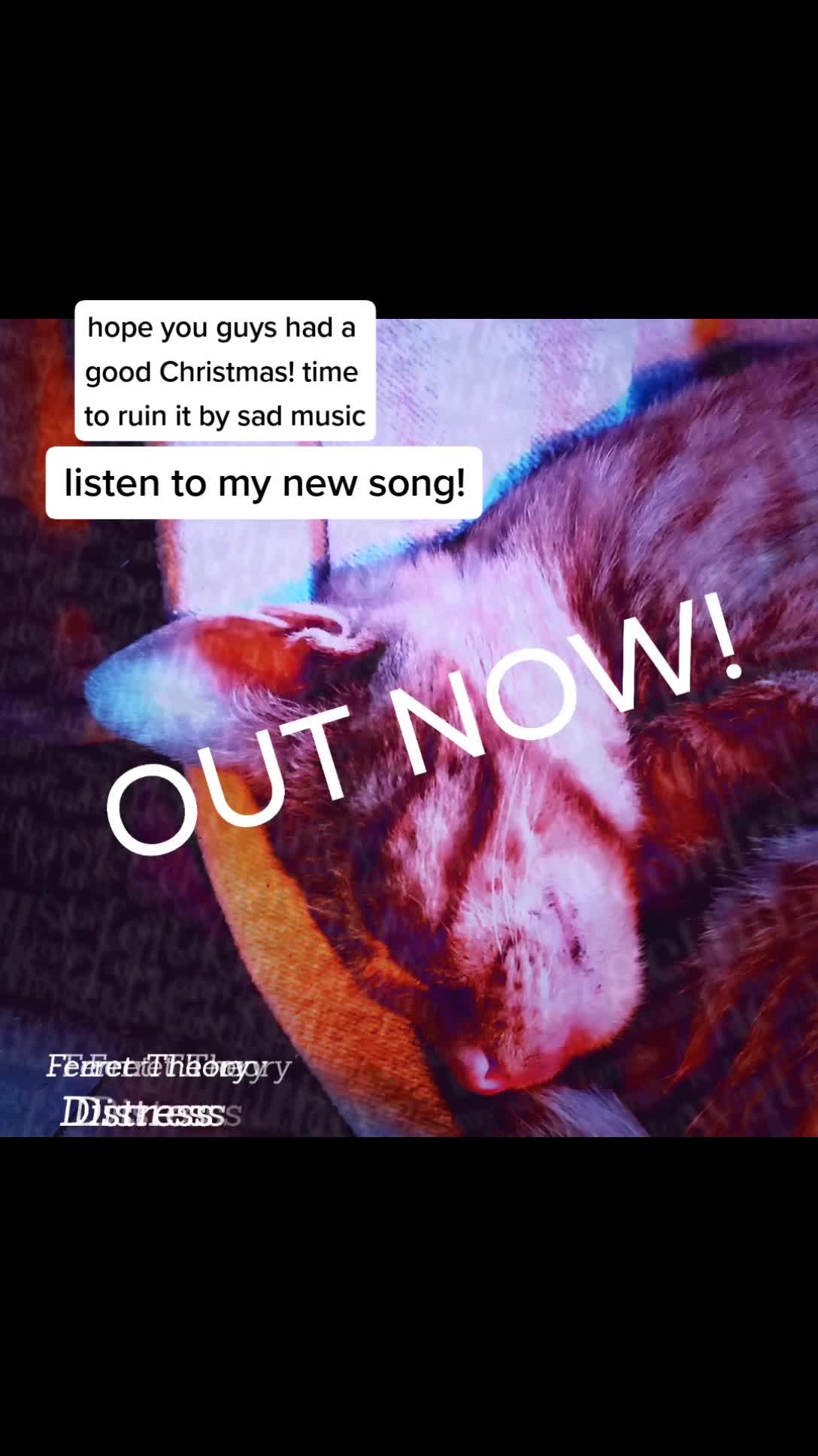 @Ferret Theory