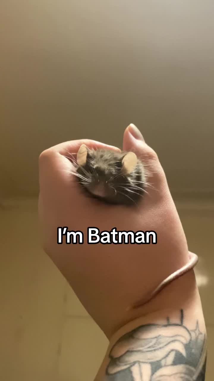 @ThatMouseGirl♡