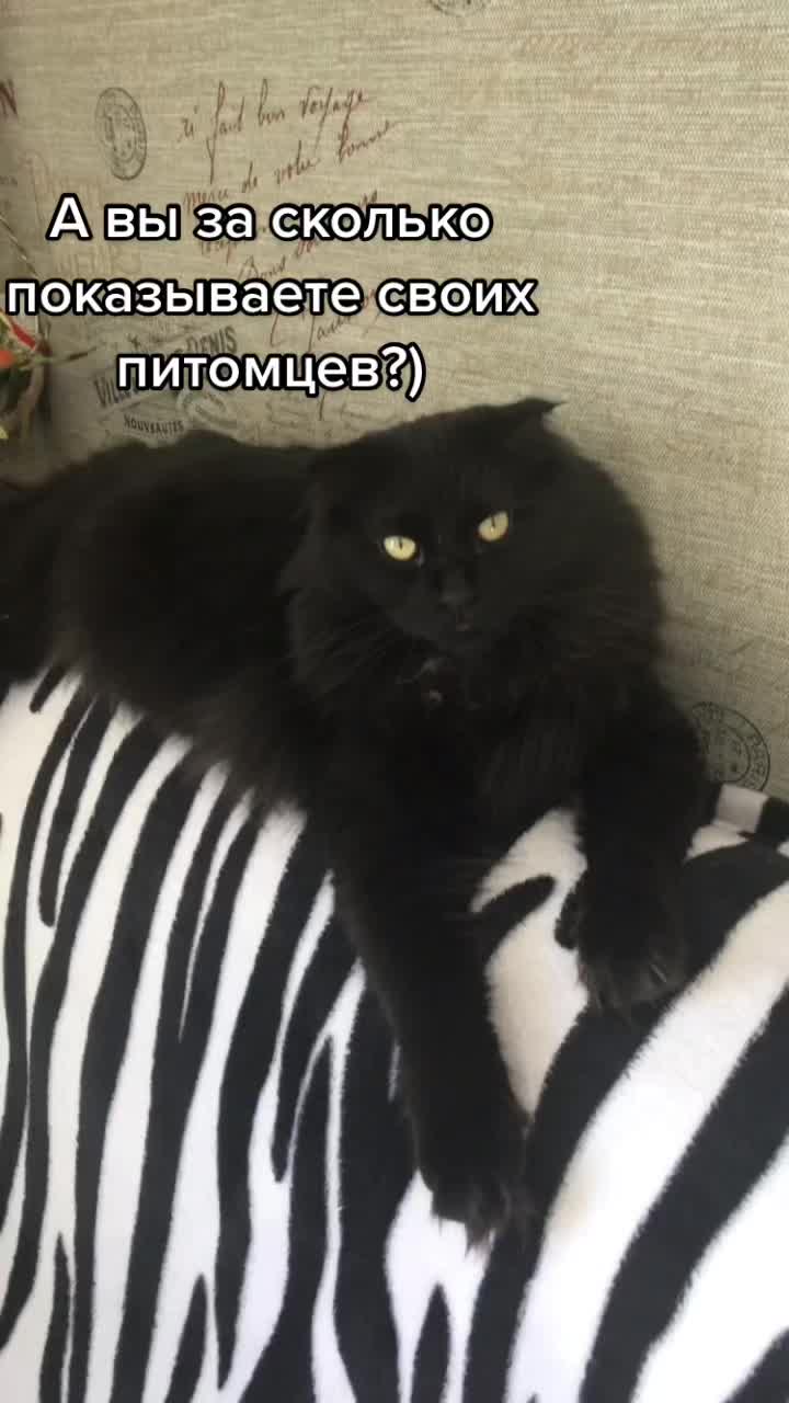 @МОНАВЛЮ