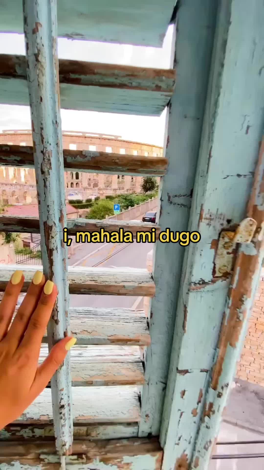 @anaceccura