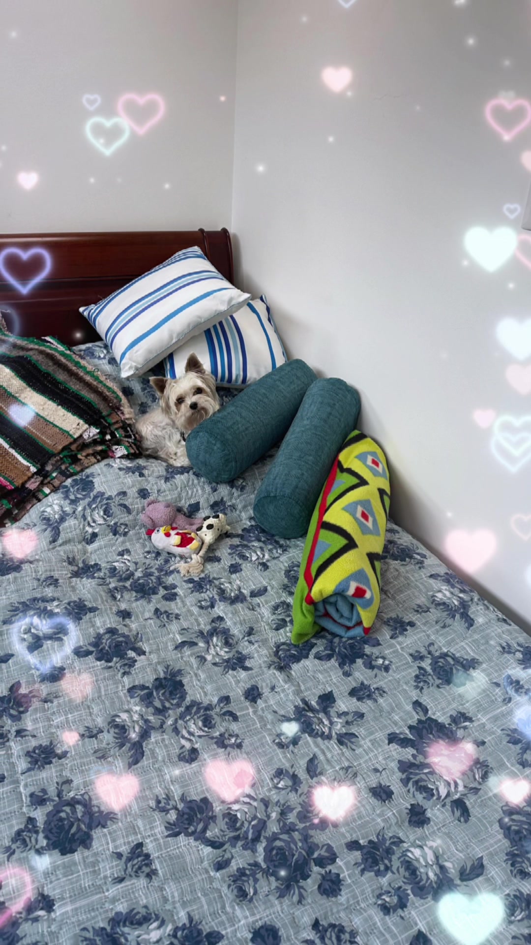 @kleopatra la Diva (kleo kleo )