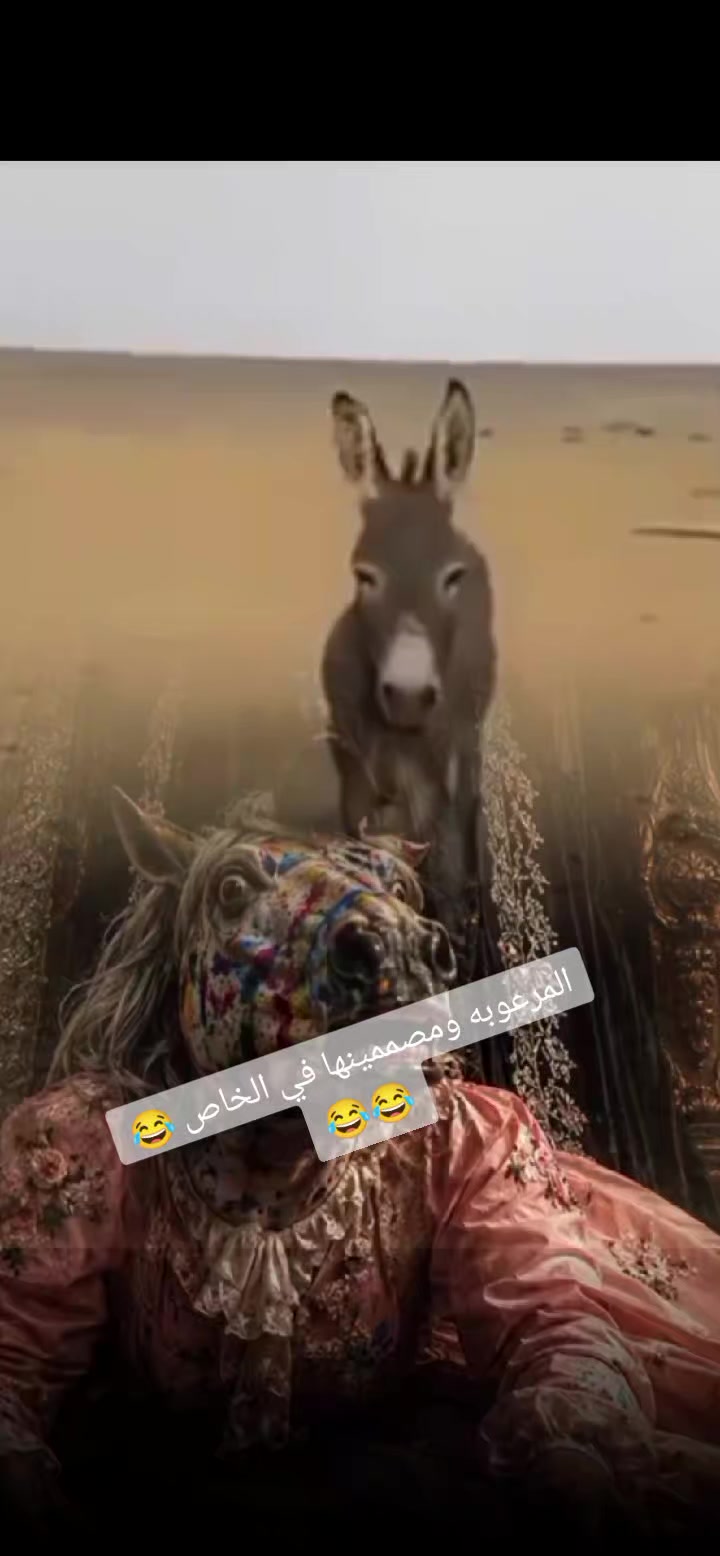 @โจ๐ด๐๐๐๐๐๐๐๐