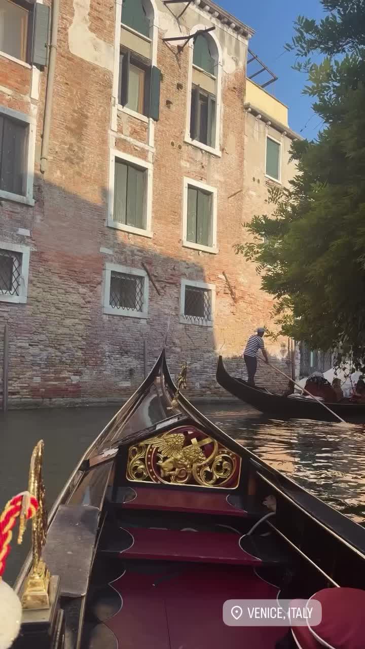 @Анюта Шейх