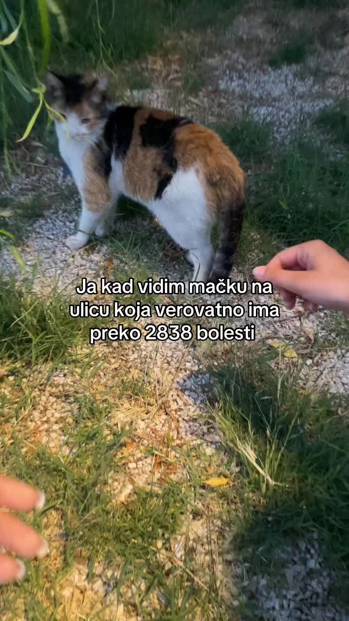 @𖤓