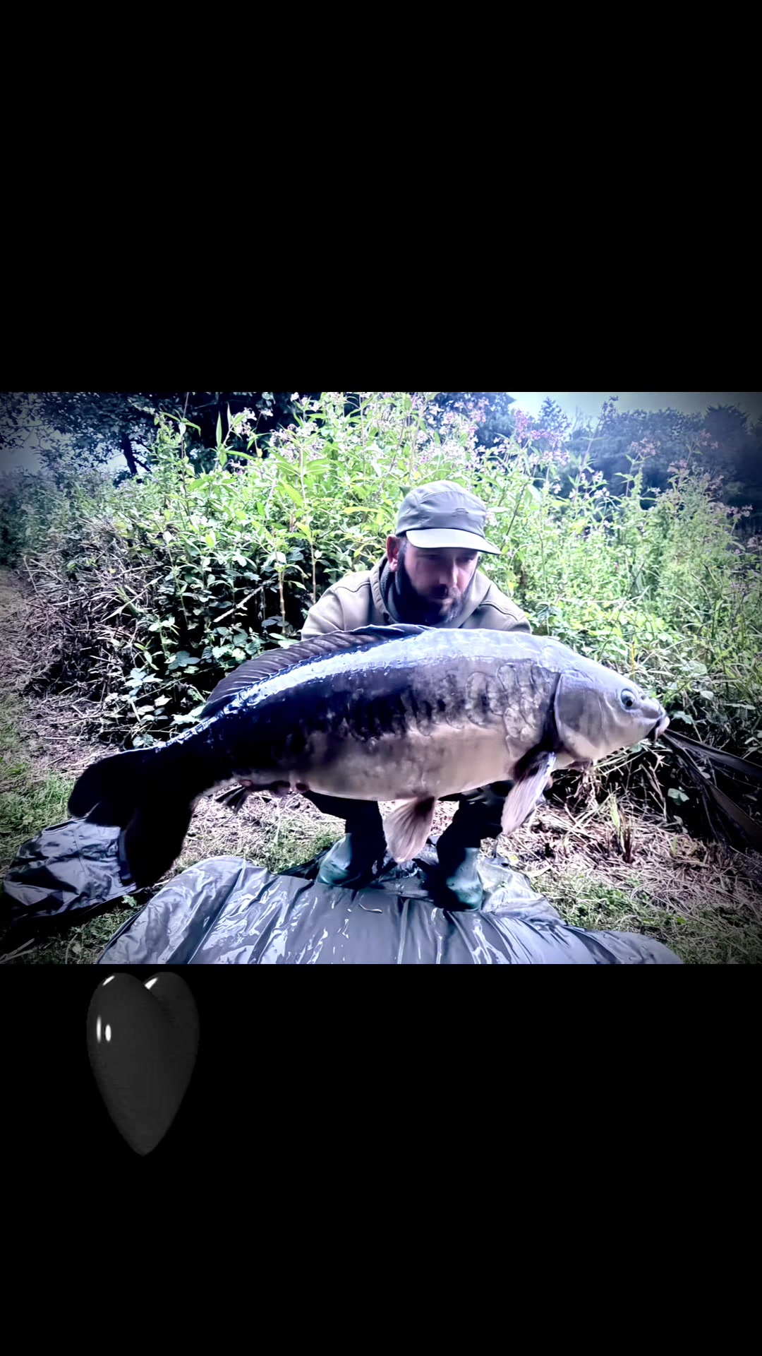 @Ian bank rat davies