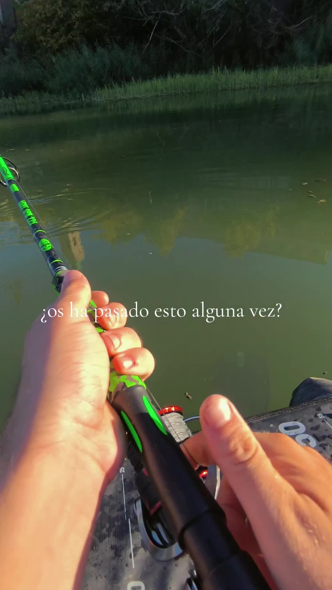 @siluros_delebro